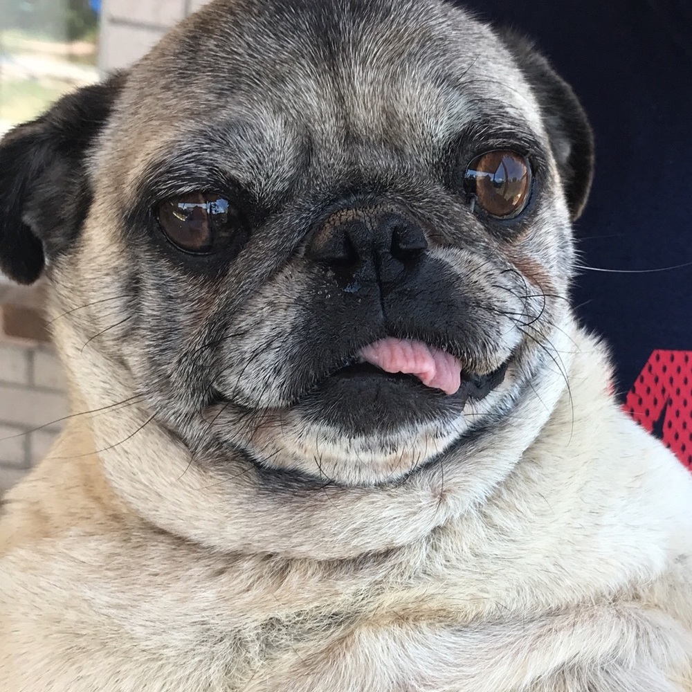 Meet your Posher, Elizabeth